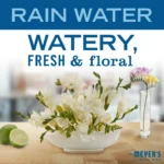 Mrs. Meyer's Clean Day Liquid Hand Soap, Rain Water Scent, 12.5 Ounce Bottle - Image 4