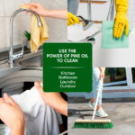 Pinalen 2X Multipurpose Cleaner - Fresh Pine Scent (128 fl oz) - Image 3