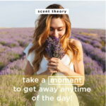 (3 pack) Scent Theory Foaming Hand Soap, Sunset Breeze, 11 fl oz - Image 3