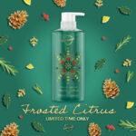 Safeguard Hand Wash, Frosted Citrus Scent, 15.5 fl oz - Image 3