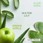 (2 pack) Scent Theory Foaming Hand Soap, Island Aloe, 11 fl oz - Image 3