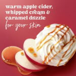 Dove Liquid Hand Wash Apple Cider Caramel Holiday Treats Limited Edition, 12 fl oz - Image 2