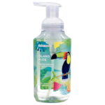 (2 pack) Scent Theory Foaming Hand Soap, Island Aloe, 11 fl oz - Image 2